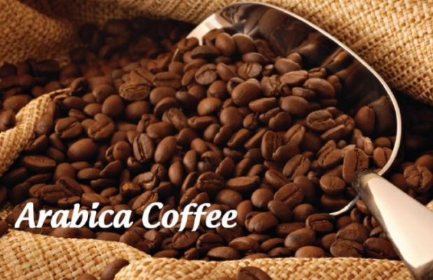 Tham khảo các loại cà phê pha máy hiện nay