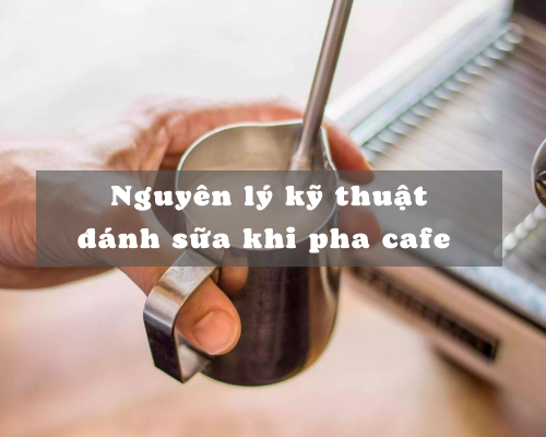Nguyên lý kỹ thuật đánh sữa khi pha cafe